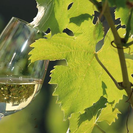 Апартаменты Weingut Rosenbaum Бридель Экстерьер фото