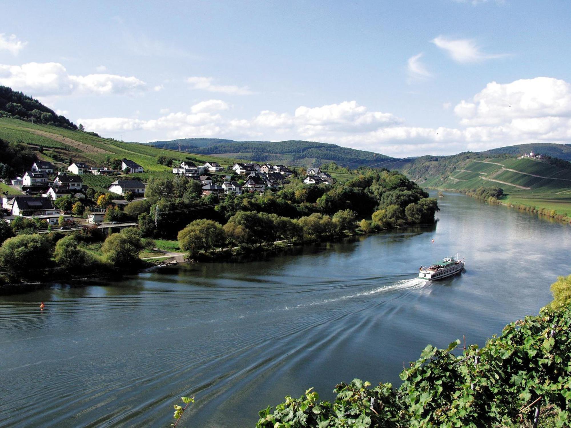 Апартаменты Weingut Rosenbaum Бридель Экстерьер фото