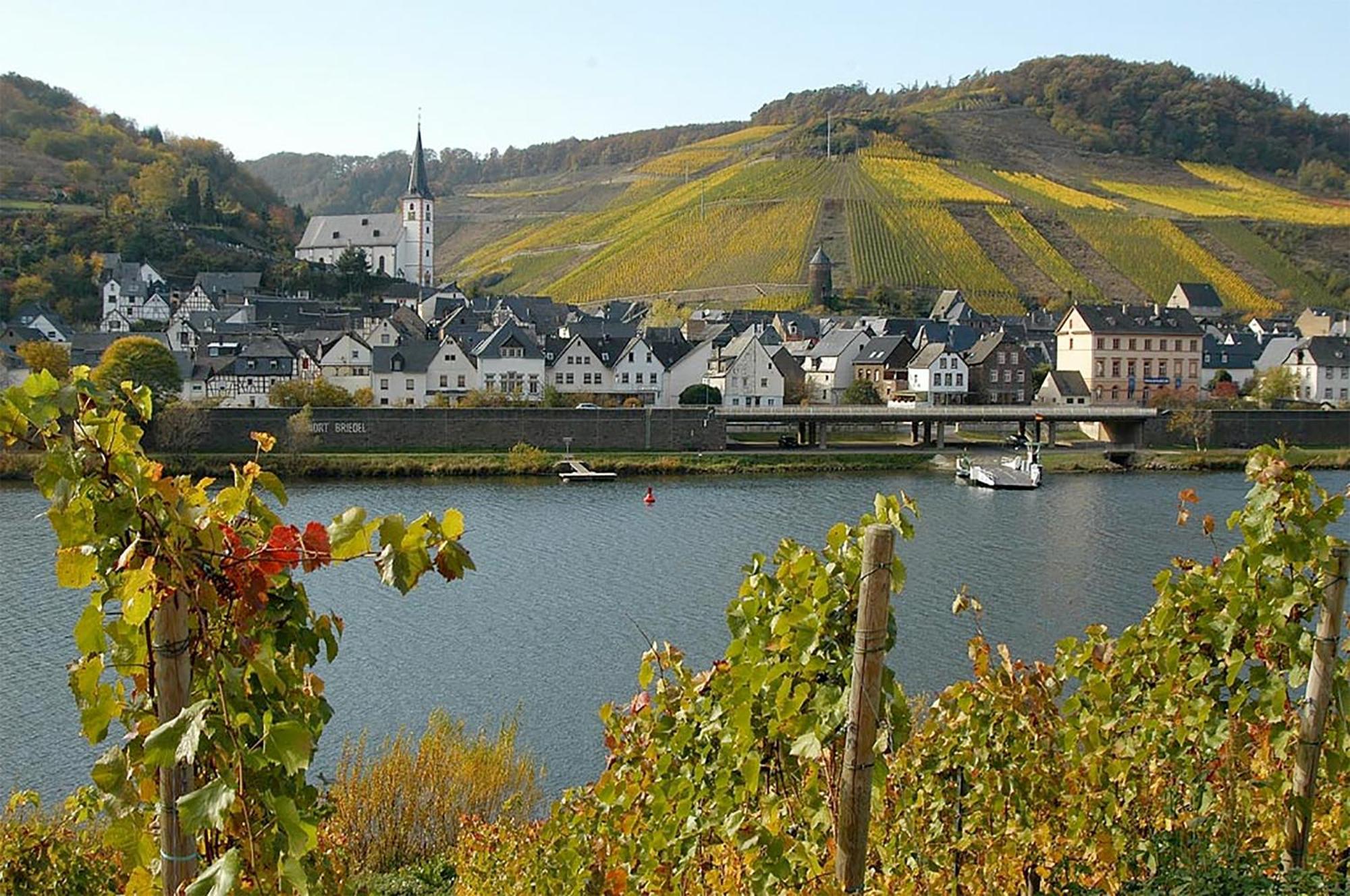 Апартаменты Weingut Rosenbaum Бридель Экстерьер фото