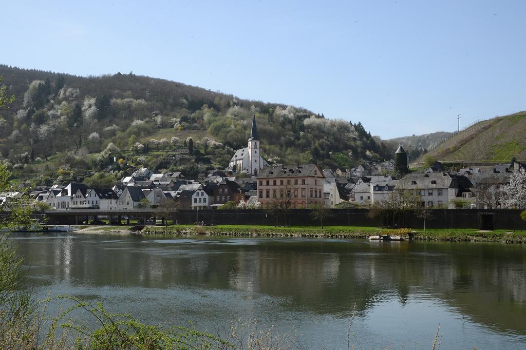 Апартаменты Weingut Rosenbaum Бридель Экстерьер фото