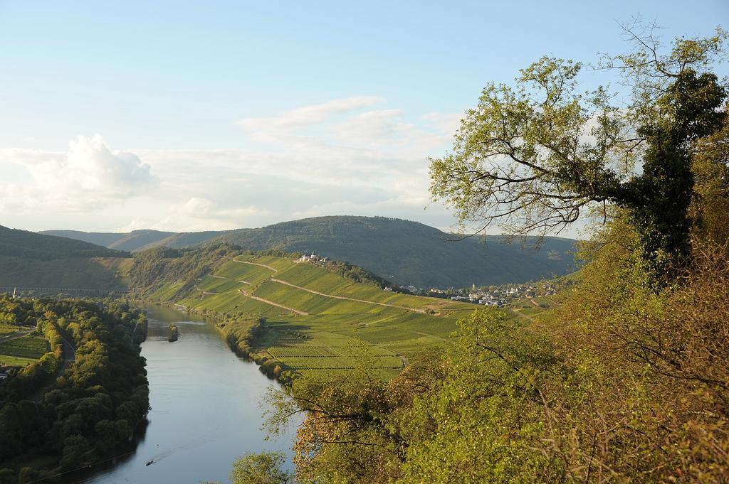 Апартаменты Weingut Rosenbaum Бридель Экстерьер фото