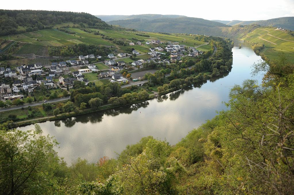 Апартаменты Weingut Rosenbaum Бридель Экстерьер фото