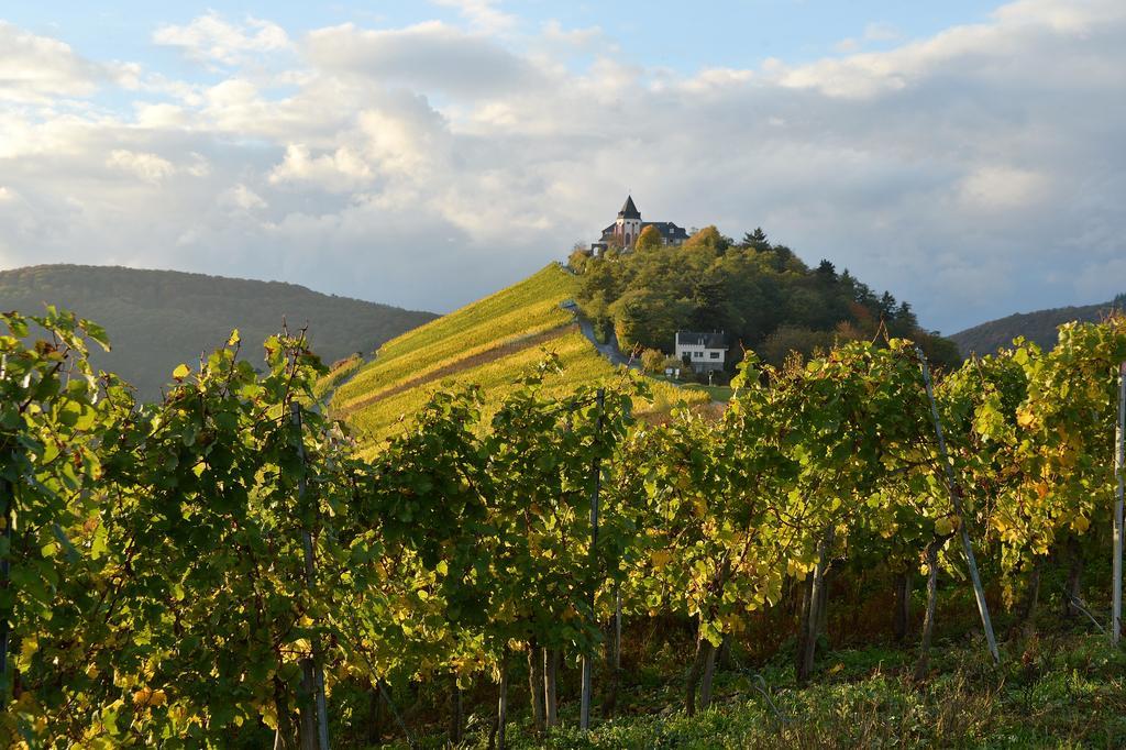 Апартаменты Weingut Rosenbaum Бридель Экстерьер фото